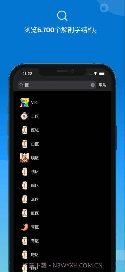 e-anatomy截图2 e-anatomy截图2