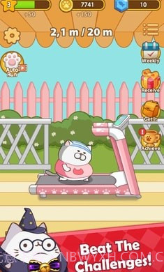 奔跑小猫截图2