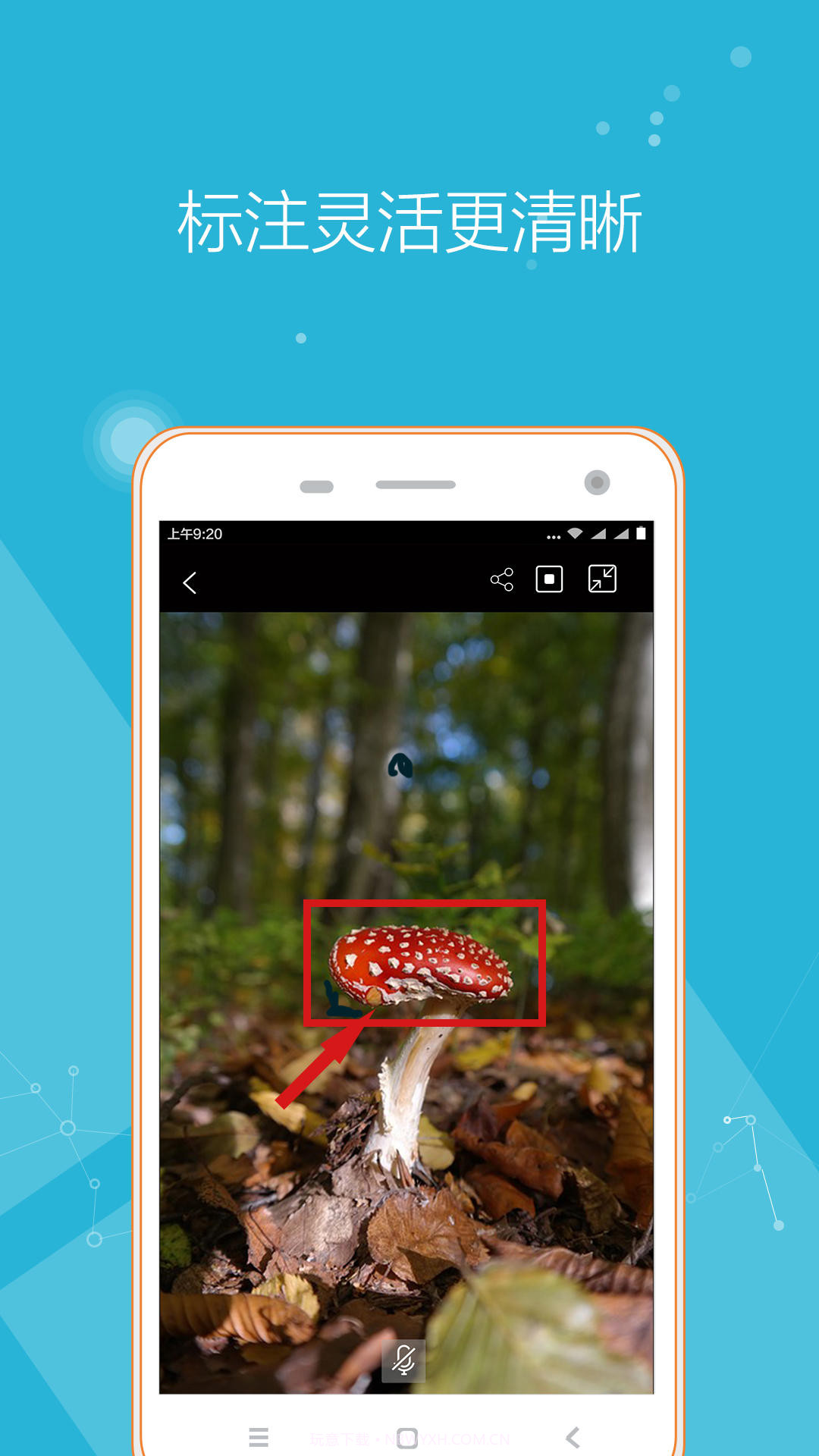 远程投影仪截图1