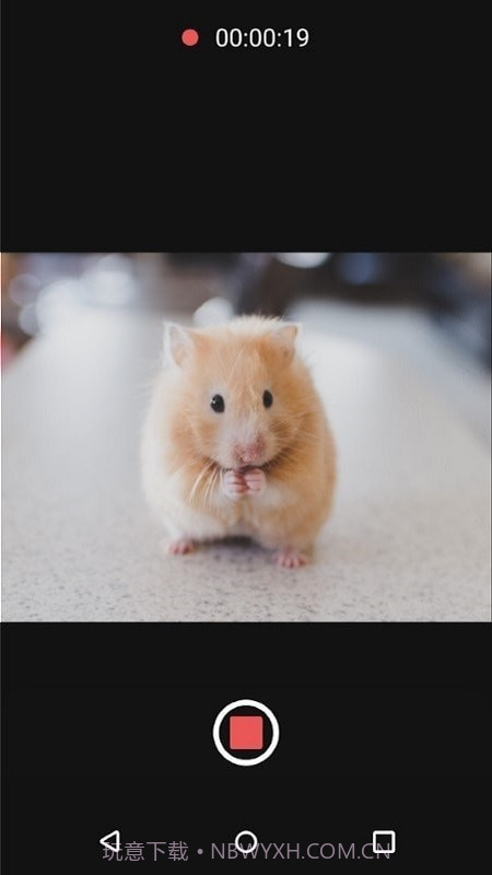 可变焦距相机截图2 可变焦距相机截图2