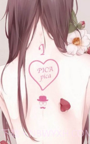 PicACG哔咔正式版入口截图3