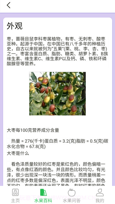 掌上果园截图4 掌上果园截图4