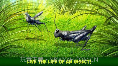 印度蝗虫模拟器汉化版截图2 印度蝗虫模拟器汉化版截图2