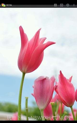 NIKON IMAGE SPACE截图3 NIKON IMAGE SPACE截图3