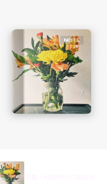 为知笔记本截图1