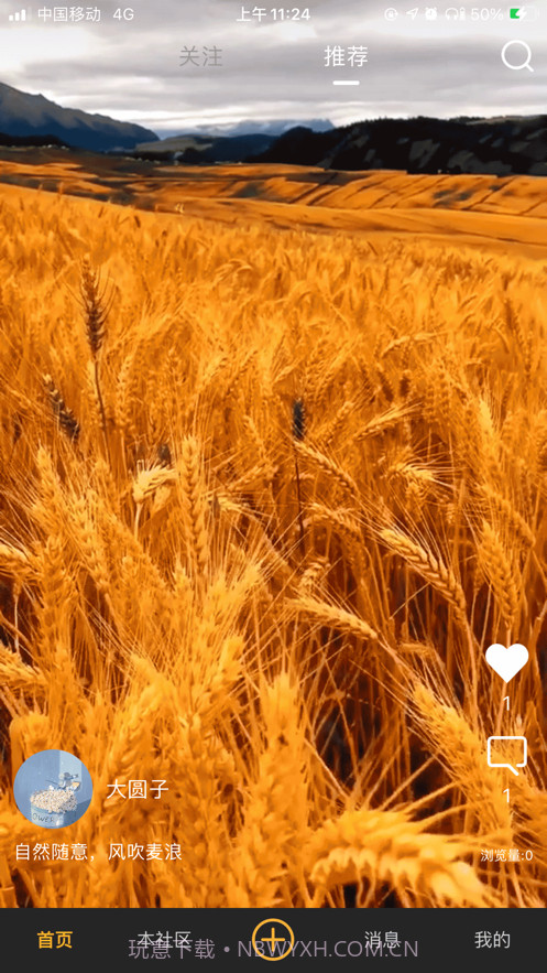 金果匠社播截图1 金果匠社播截图1