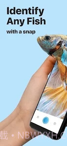 Picture Fish鱼类识别截图1 Picture Fish鱼类识别截图1