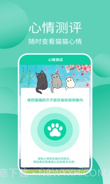 猫猫交流工具截图3