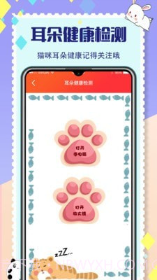 猫咪交流截图5 猫咪交流截图5