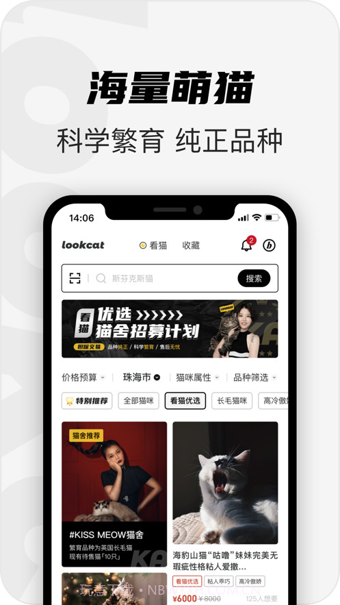 看猫截图1 看猫截图1