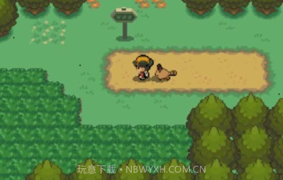 口袋妖怪心金随机版截图3