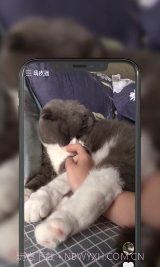 嗨皮猫短视频截图4