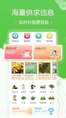 苗木通截图2 苗木通截图2