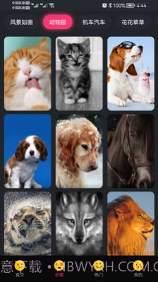 轻甜心截图2 轻甜心截图2