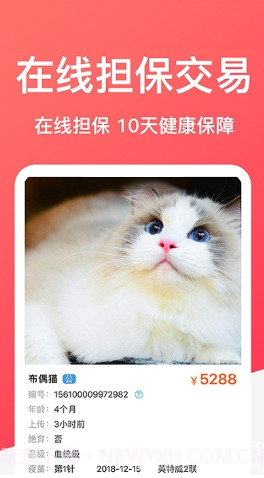 DogBreeds狗品种截图3 DogBreeds狗品种截图3