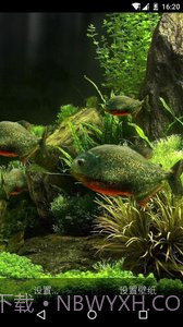 3D食人鱼:梦象动态壁纸截图1 3D食人鱼:梦象动态壁纸截图1