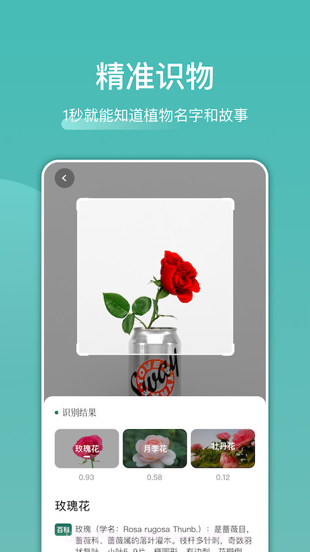识花识物截图3