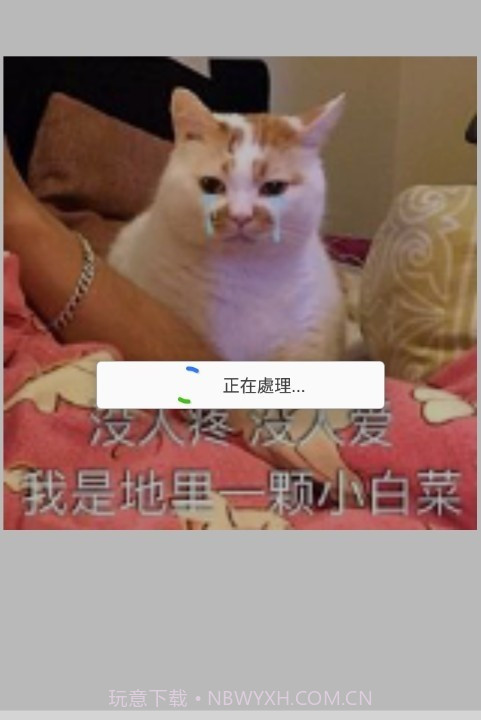 GIF编辑器Pro截图2