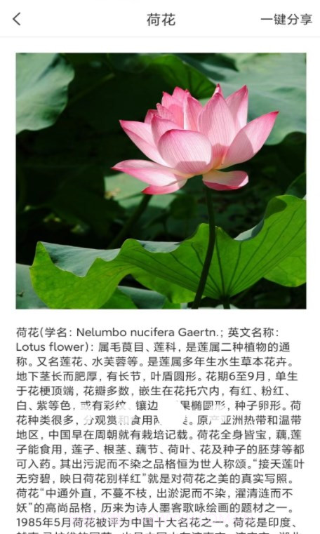 拍照识物全能王截图3 拍照识物全能王截图3