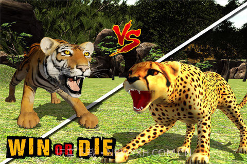 丛林动物模拟器截图2 丛林动物模拟器截图2