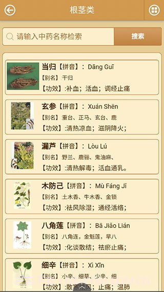 中药图解百科大全手机版截图3