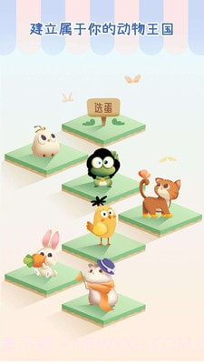 专注个蛋最新版截图3