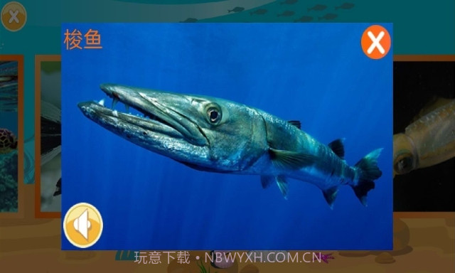 儿童快速识动物(好用婴幼儿早教助手)V1.2 安卓手机版截图3 儿童快速识动物(好用婴幼儿早教助手)V1.2 安卓手机版截图3