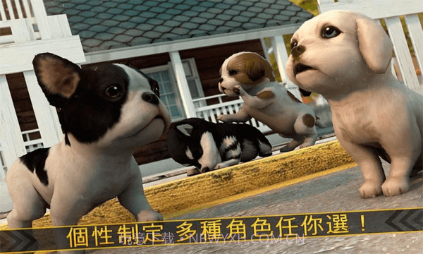 超级小汪大闯关截图2 超级小汪大闯关截图2