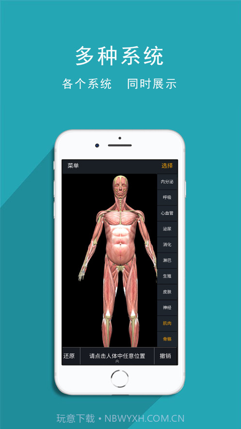 人体护理截图3