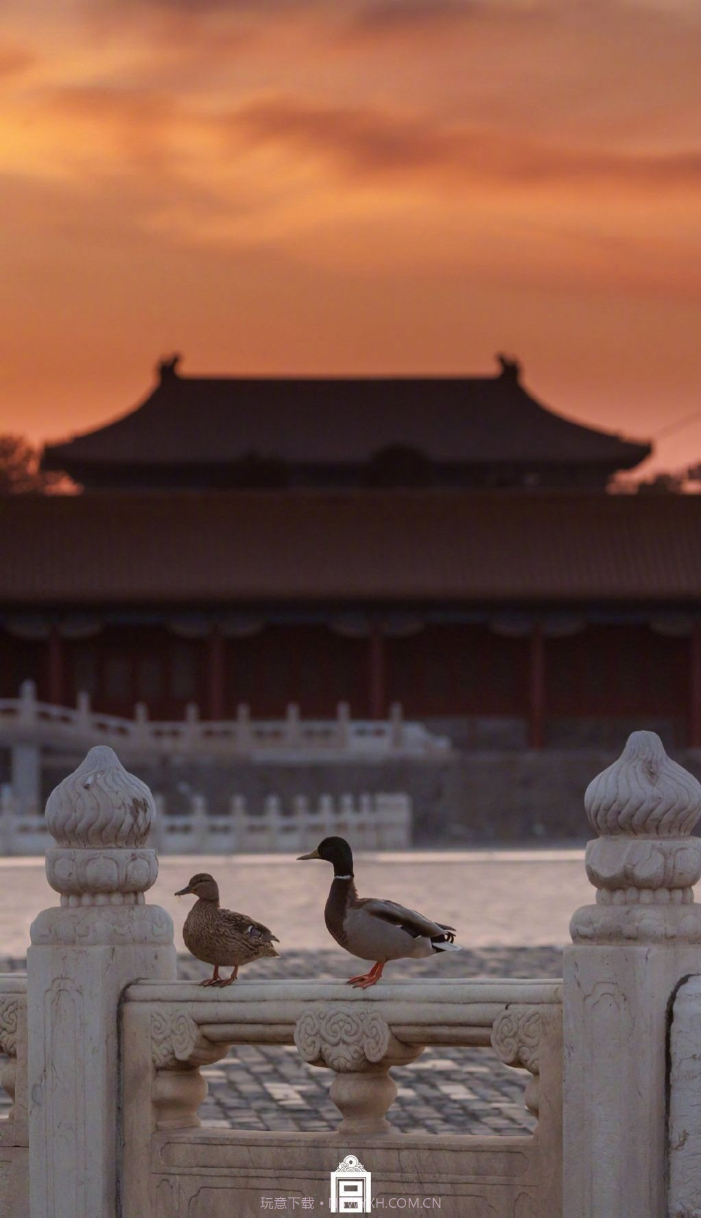 故宫春日温馨壁纸图片截图1 故宫春日温馨壁纸图片截图1