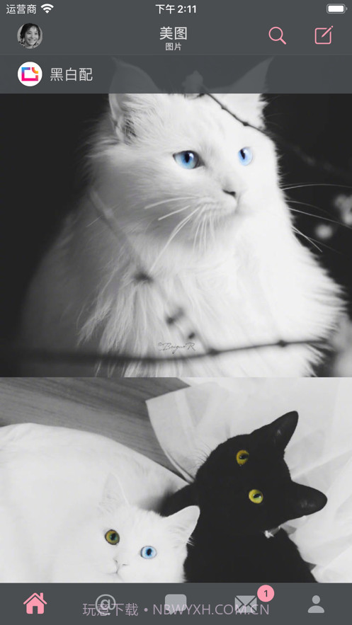 墨客截图1 墨客截图1