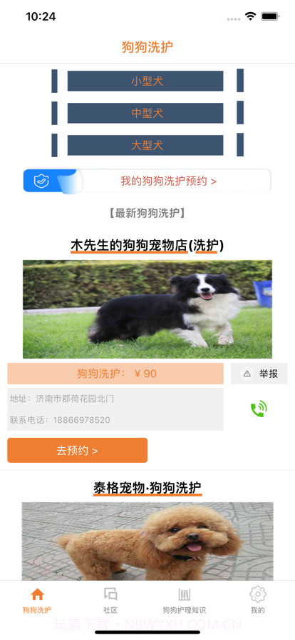 精心狗狗洗护舍截图1
