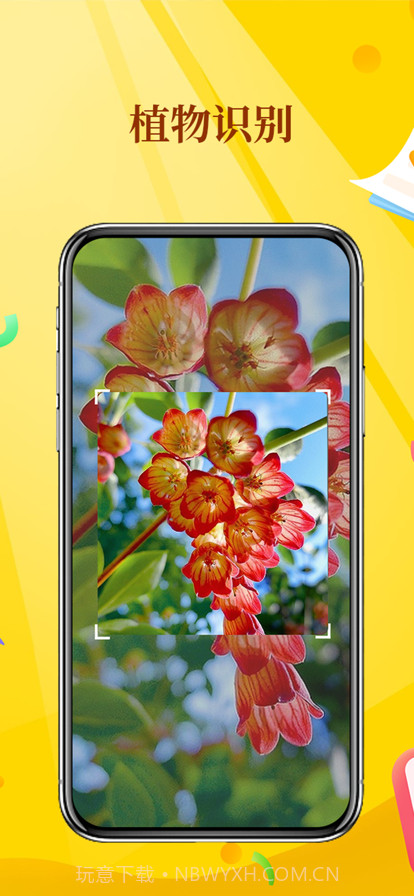 拍照识物截图3