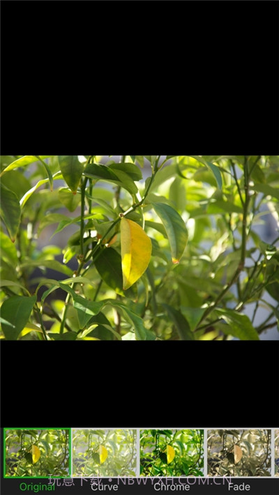 叮当视频图片编辑截图3