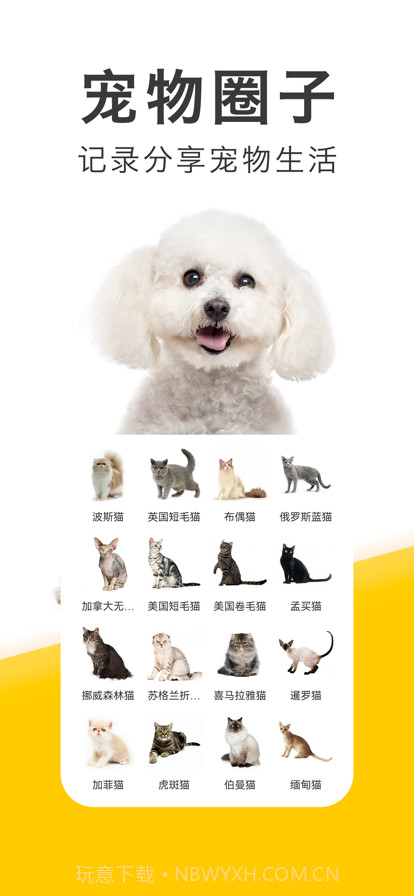 有只宠物截图3 有只宠物截图3