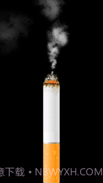 卷烟模拟器截图2