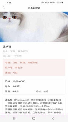 小猫先生截图4 小猫先生截图4