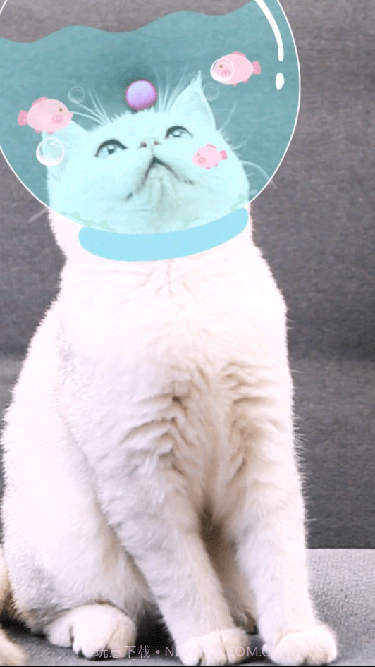 相机潮自拍截图4 相机潮自拍截图4