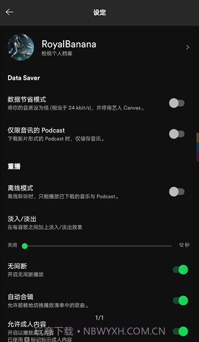 声破天Spotify截图2