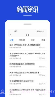 青鸽网截图1 青鸽网截图1