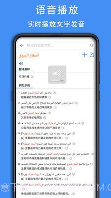 查查阿拉伯语词典截图3