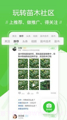 苗木通截图3 苗木通截图3