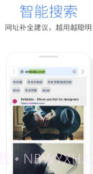 Pure浏览器(浏览器设置模式工具)V2.8.2 安卓最新版截图3
