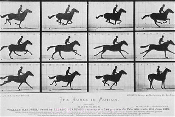 犯罪冲突疯狂的圣安地列斯截图4