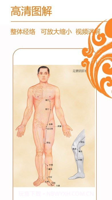 经络养生截图2 经络养生截图2