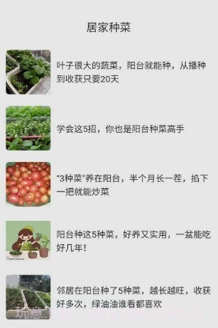 居家小达人截图1