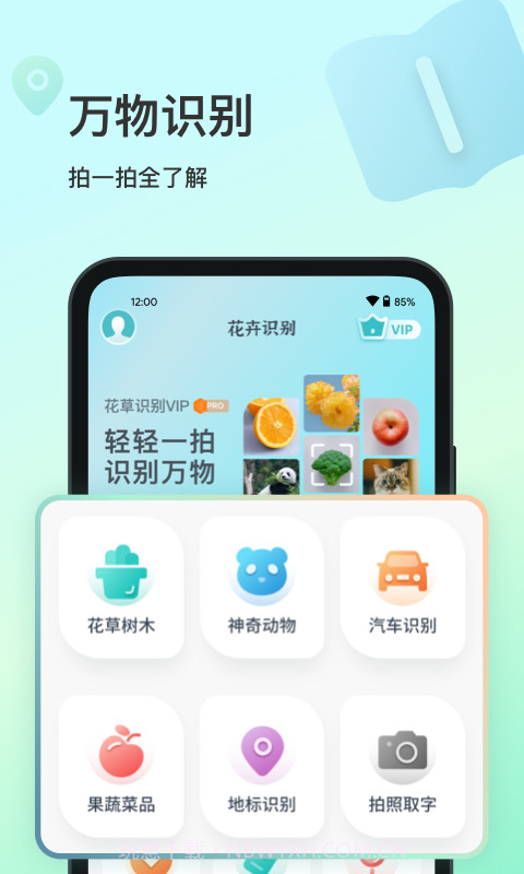 花卉识别截图5 花卉识别截图5