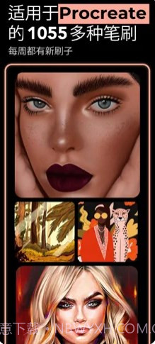 brushes for procreate笔刷绘画截图1