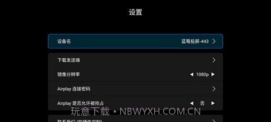 蓝莓投屏截图2 蓝莓投屏截图2