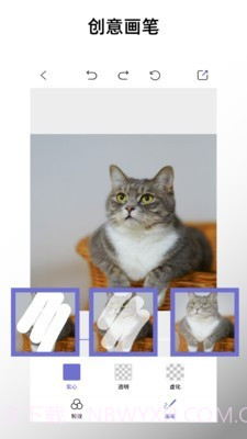 特效马赛克截图3